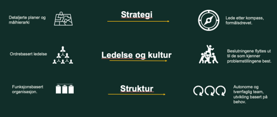 Oversikt NAF endringsstrategi