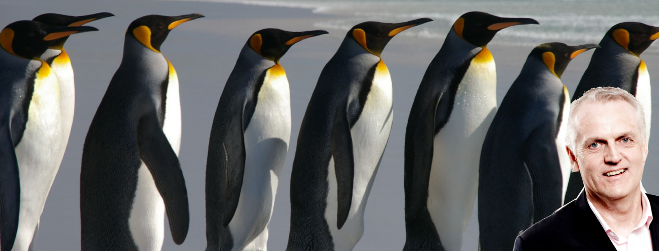 HR profilen Per Harald Engesaeth pingviner toppbanner