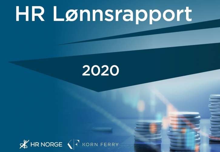 HR Lonnsrapport ny