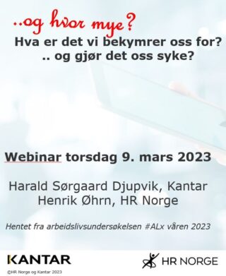 Skjermbilde webinar