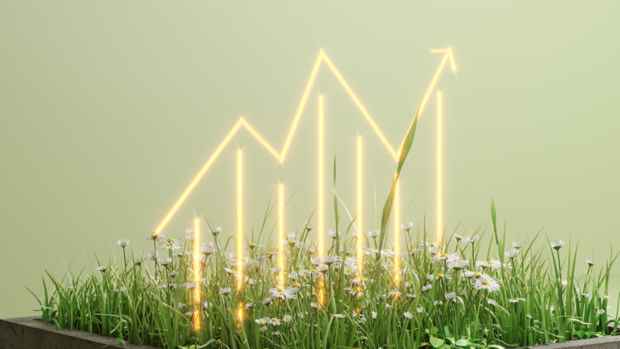 Illustrasjon lonn vekst