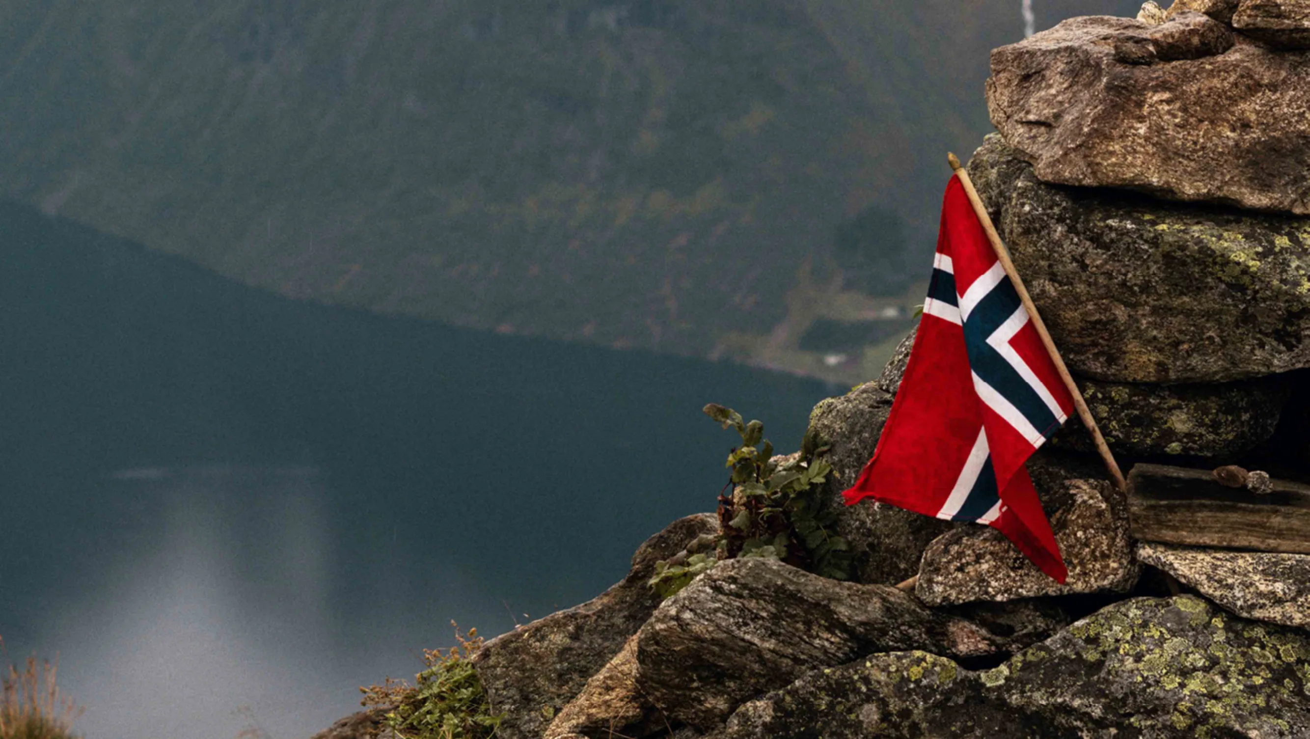 8mai artikkel