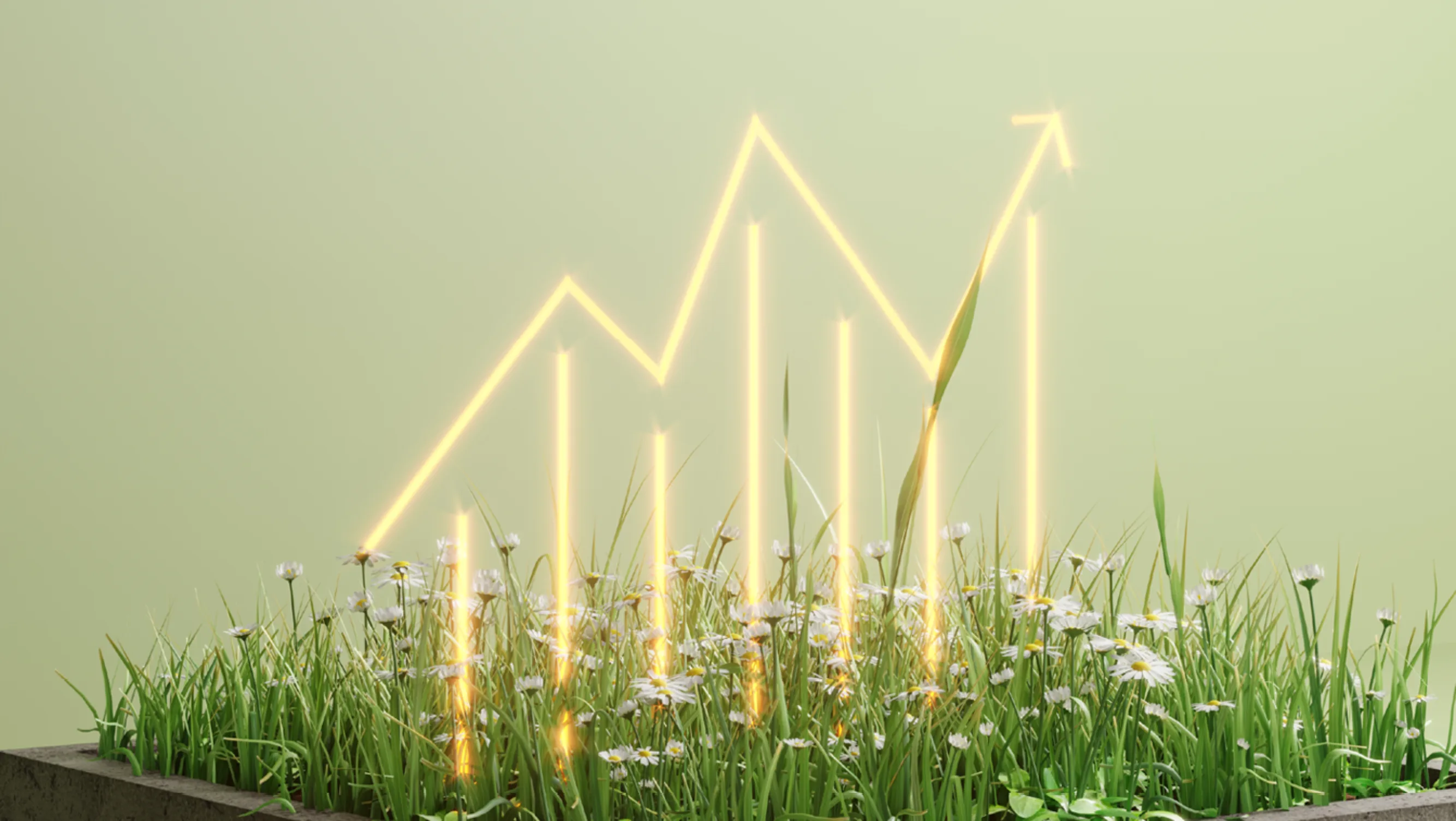 Illustrasjon lonn vekst