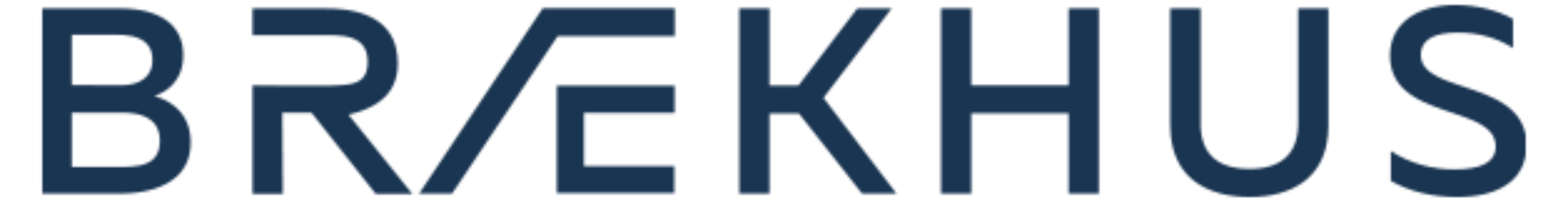 Brækhus logo