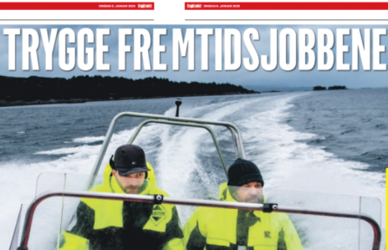 De nye trygge fremtidsjobbene