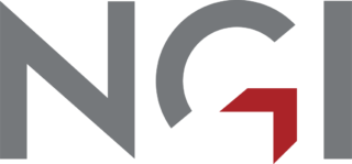 NGI logo rgb 72dpi