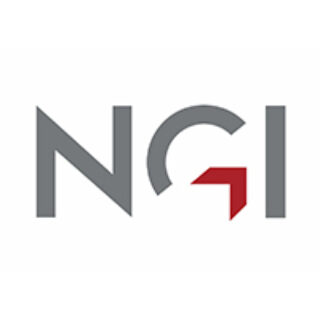 NGI logo rgb 72dpi 200x200px