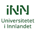 Minilogo INN på FINN 002